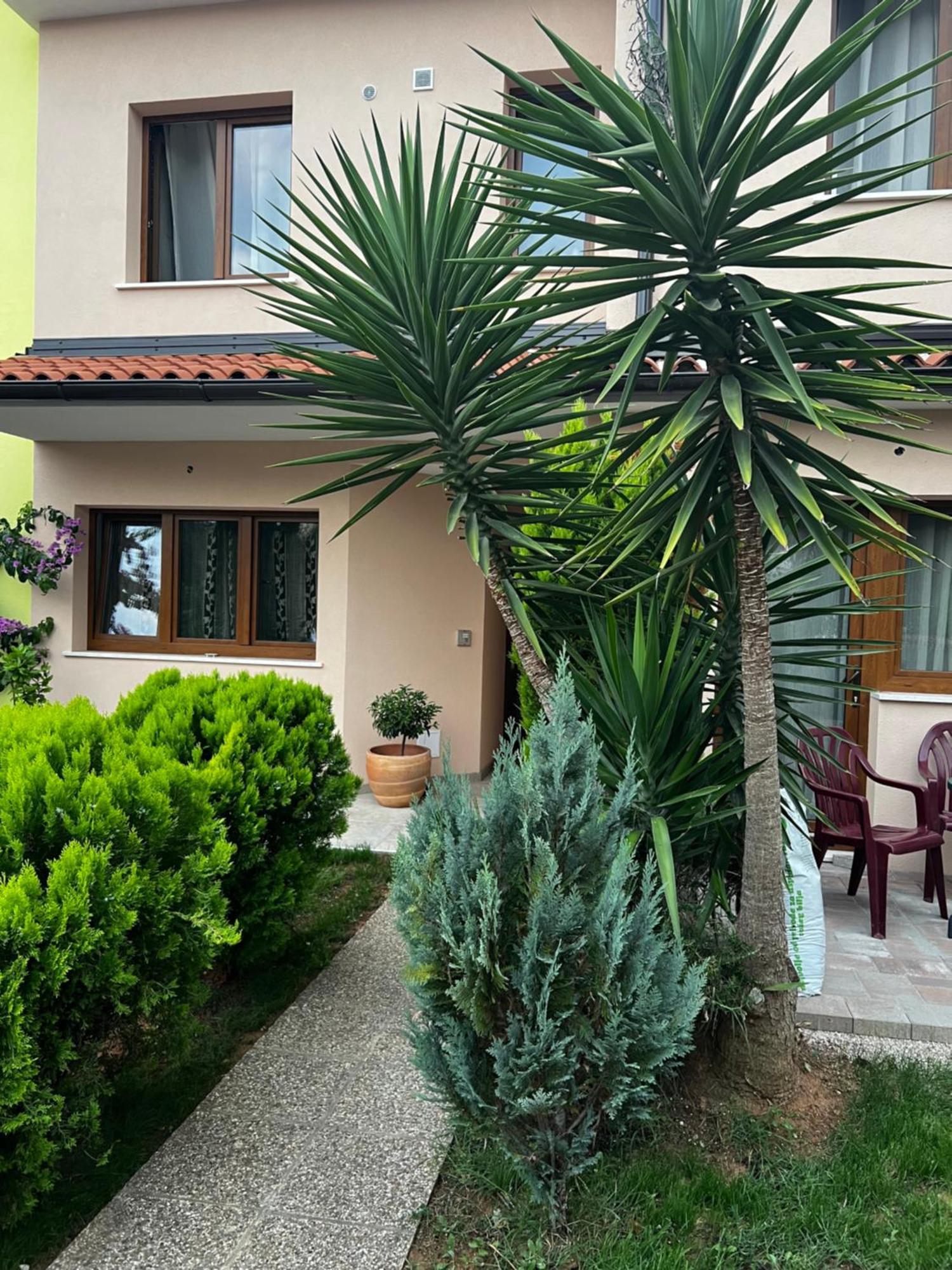 Apartma Eden *